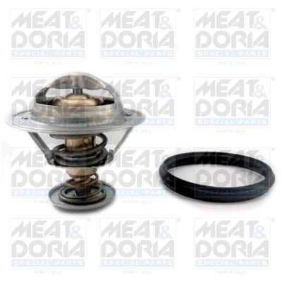 Thermostat, coolant
